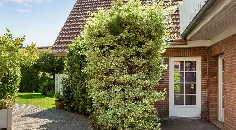 Ferielejlighed i Dannau