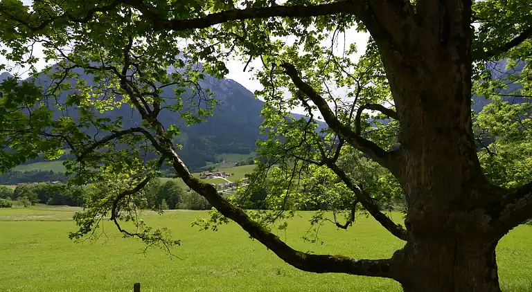 Apartment in Chiemgau