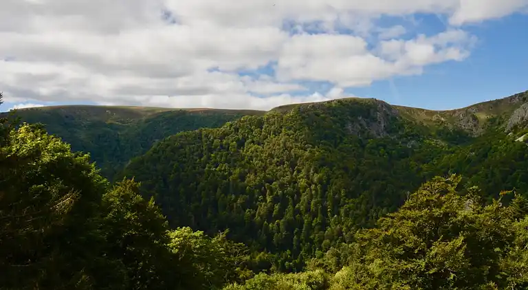 Sommerhus i Niderviller