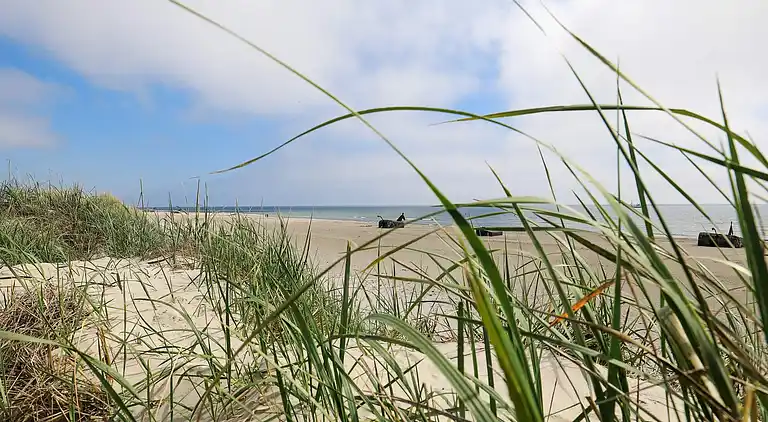 Holiday home in Blåvand