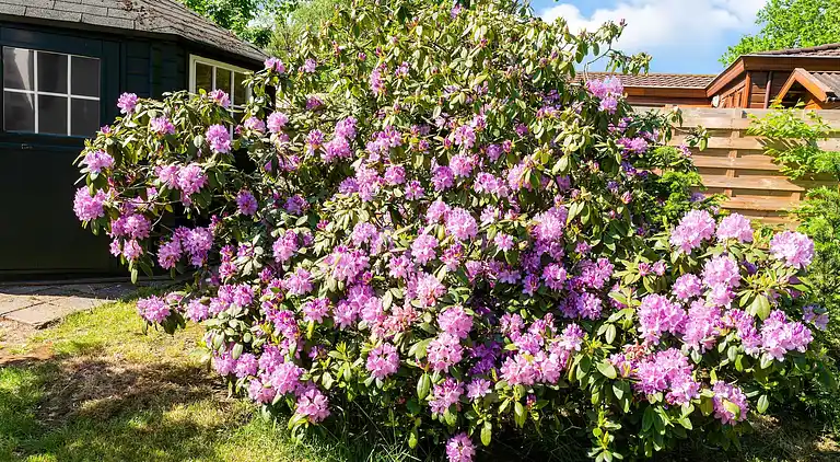 Vakantiehuis in Garderen