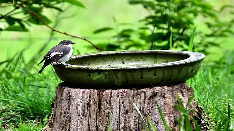 Vakantiehuis in Lemele
