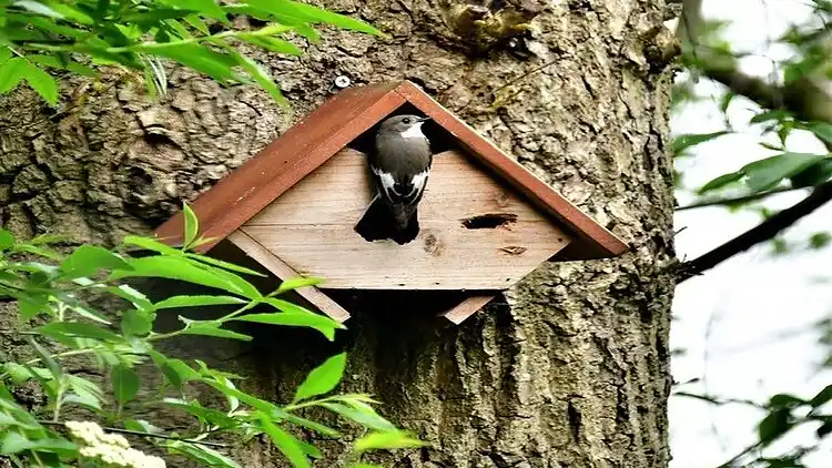 Vakantiehuis in Lemele