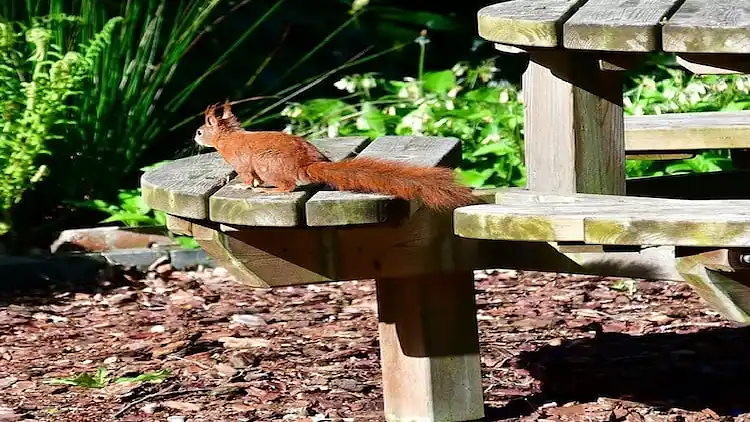 Vakantiehuis in Lemele