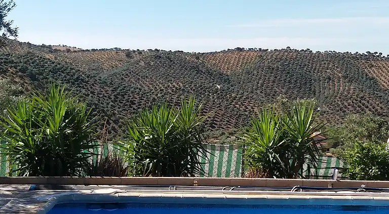 Gîte traditionnelle près de Cordoue avec piscine