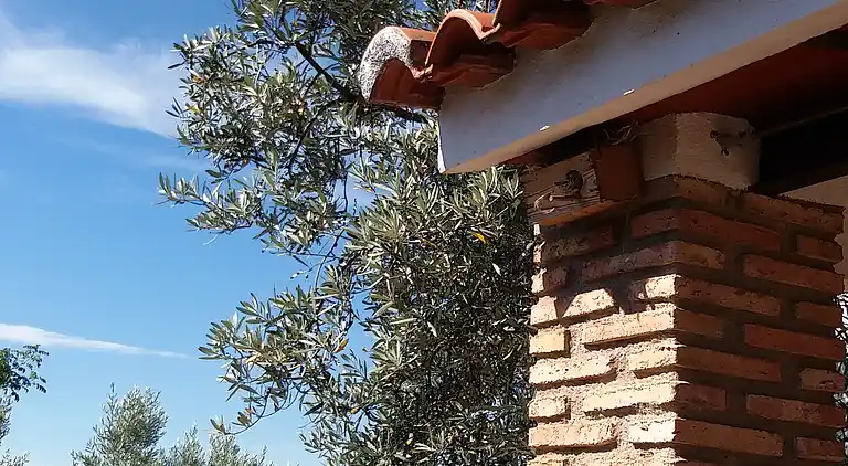 Gîte traditionnelle près de Cordoue avec piscine