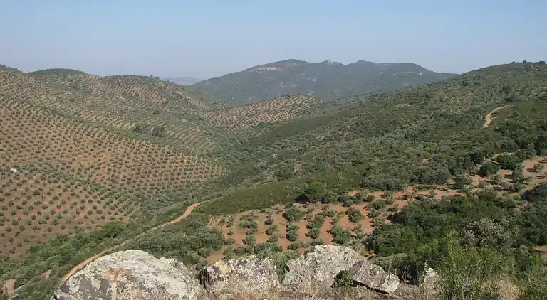Gîte traditionnelle près de Cordoue avec piscine