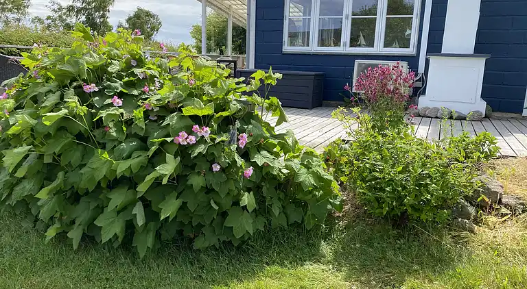 Beautiful summer house on Bornholm with sea view