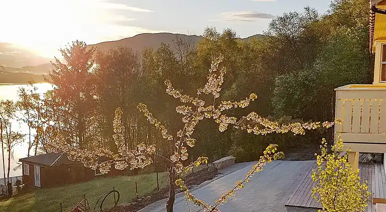 Sommerhus ved Strand