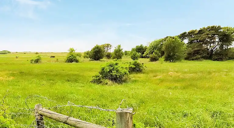 Sommerhus i Falkenberg S
