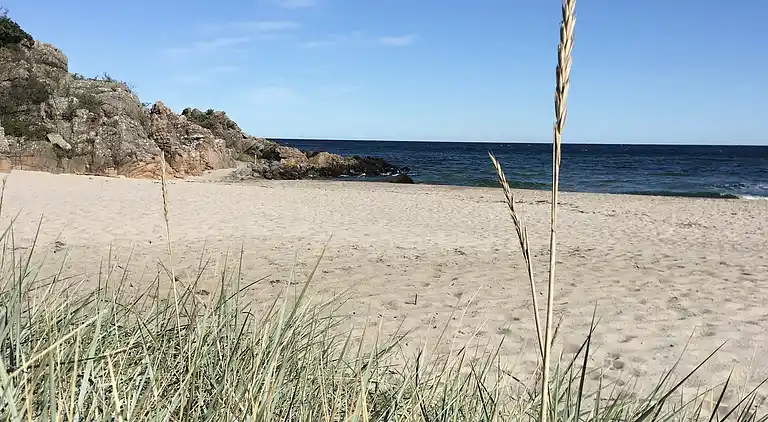Beautiful summer house on Bornholm with sea view