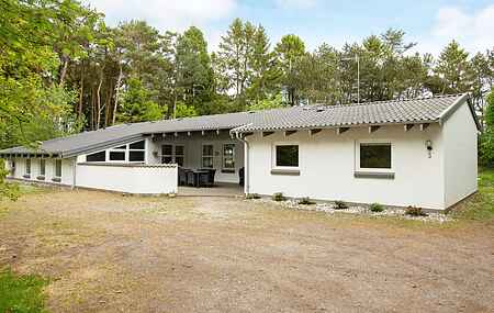 Sommerhus i Lyngså