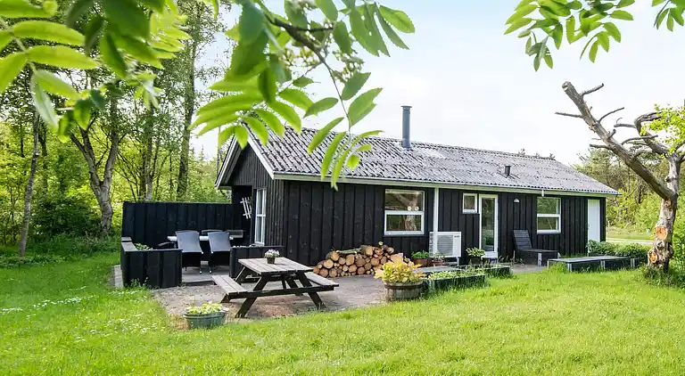 Feriebolig i Lodbjerg Hede