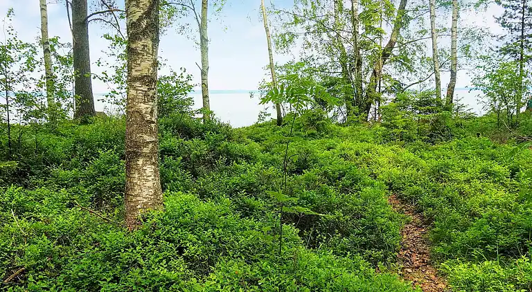 Holiday home in Karlsborg N