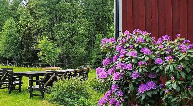 Holiday home in Karlsborg N