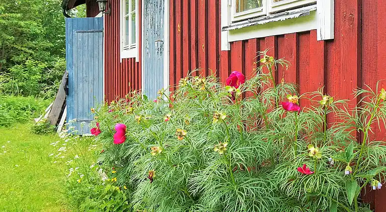 Holiday home in Karlsborg N