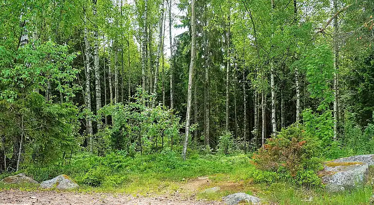 Holiday home in Karlsborg N