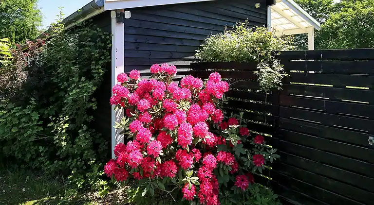 Holiday home in Smidstrup Strand