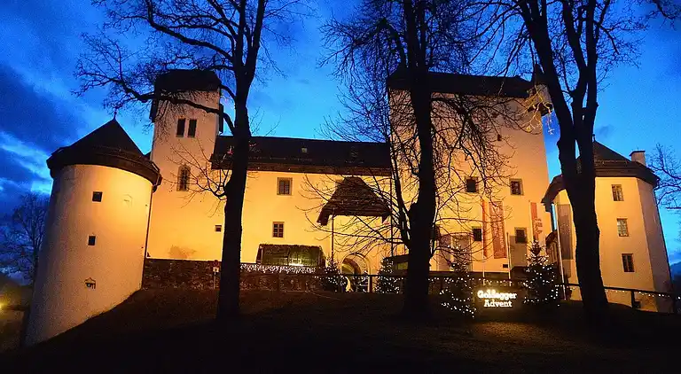 Holiday home in Goldegg