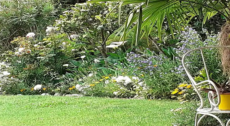 Sommerhus i Biganzolo