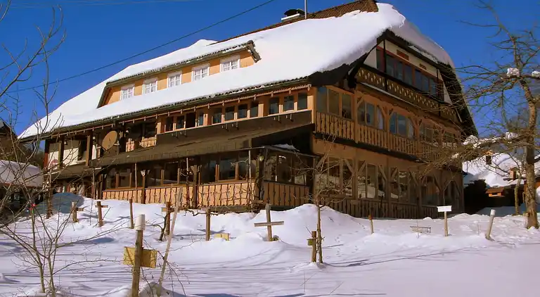 Apartment in Innerlehen