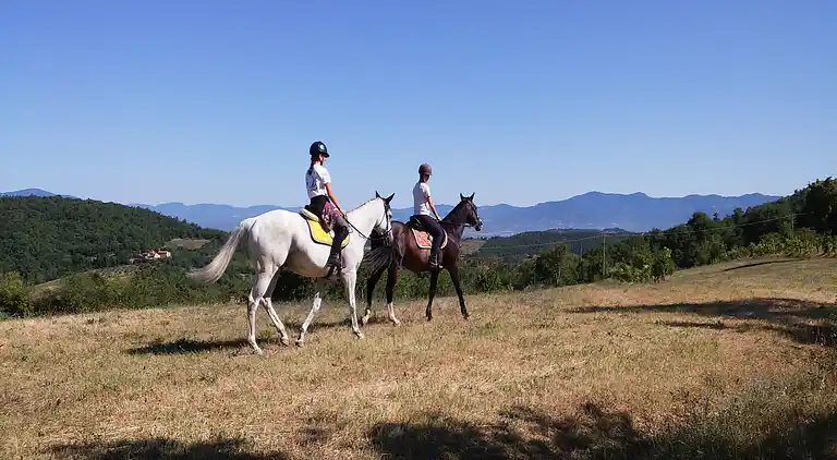 Gårdhus i Monte Santa Maria Tiberina
