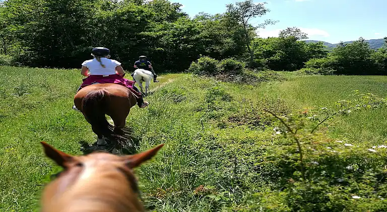 Gårdhus i Monte Santa Maria Tiberina
