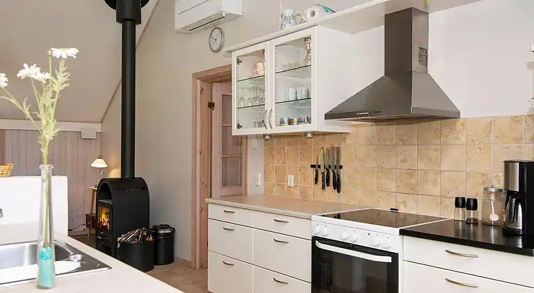 Sommerhus i Bork Havn