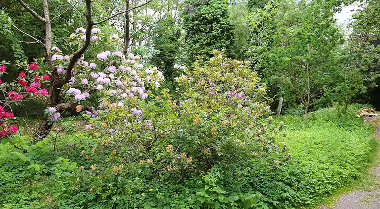 Semesterbostad i Dronningmølle