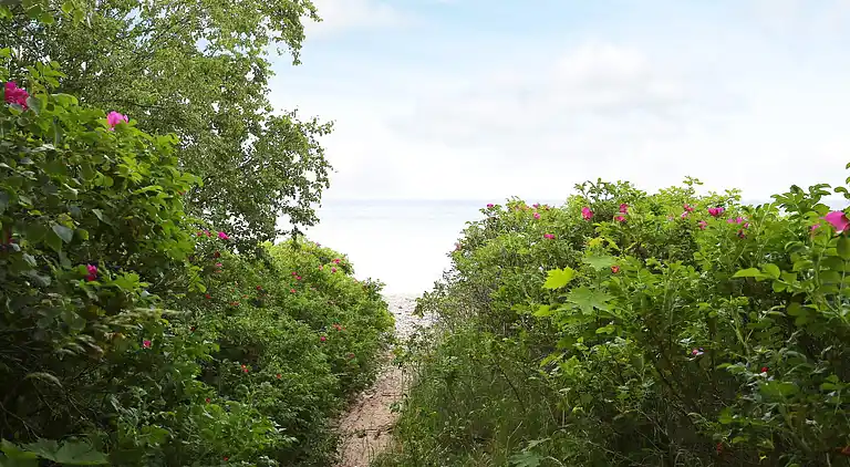 Semesterbostad i Dronningmølle