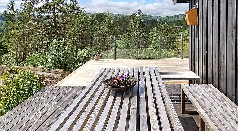 Sommerhus i Åseral