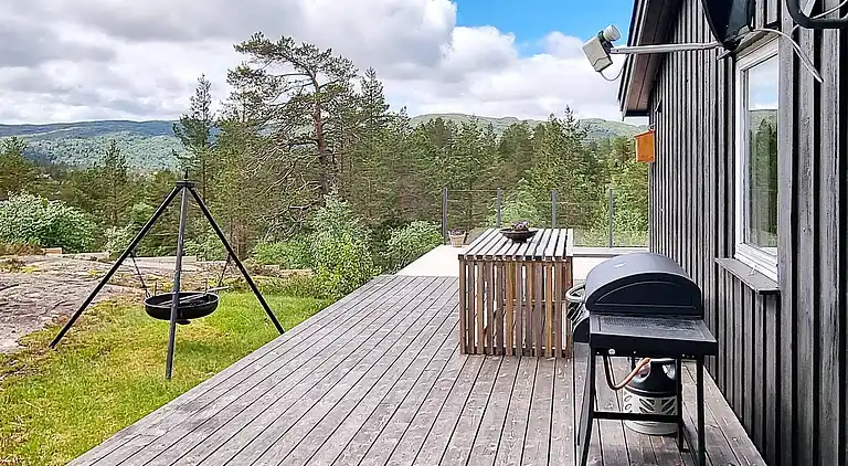 Sommerhus i Åseral