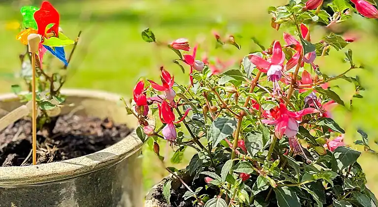 Sommerhus i Væggerløse