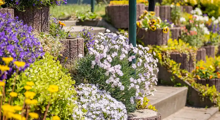 Ferielejlighed i Damshagen