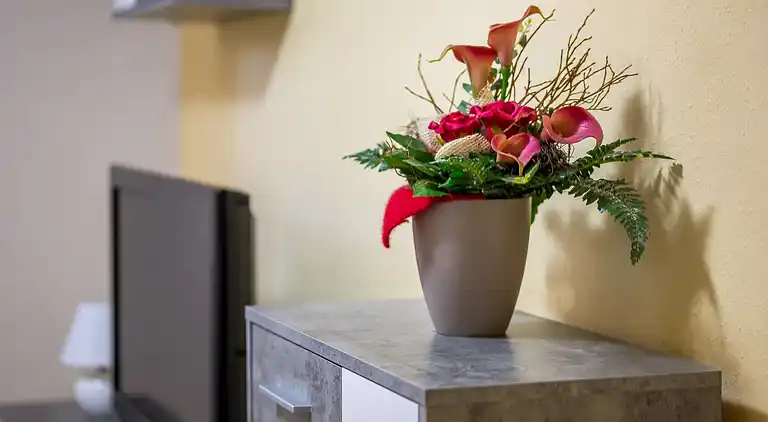 Ferielejlighed i Damshagen