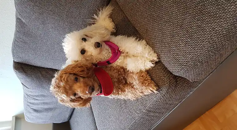 Apartment in Heringhausen