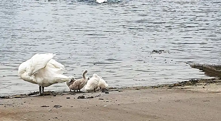 Holiday home in Egernsund