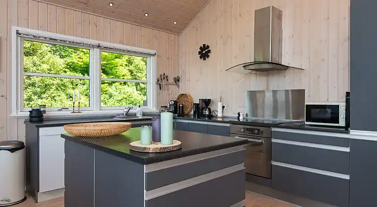 Sommerhus ved Skaven Strand