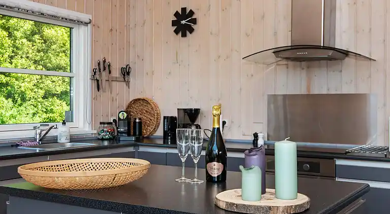 Sommerhus ved Skaven Strand