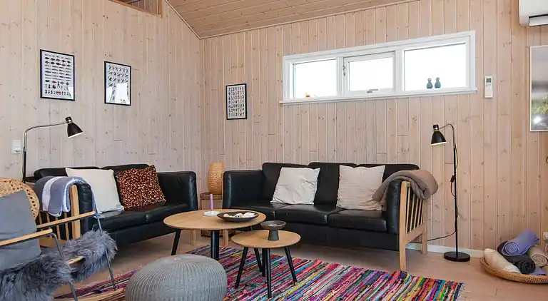 Sommerhus ved Skaven Strand