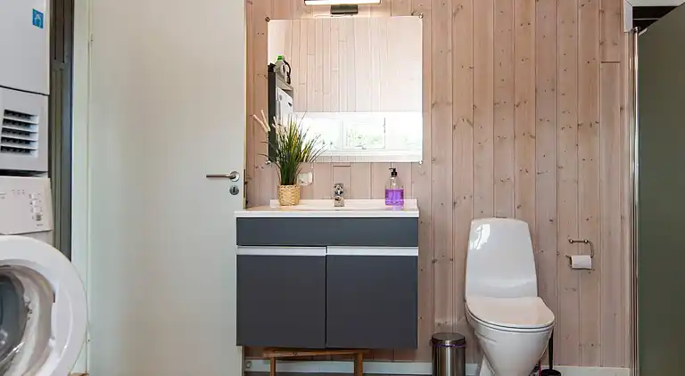 Sommerhus ved Skaven Strand