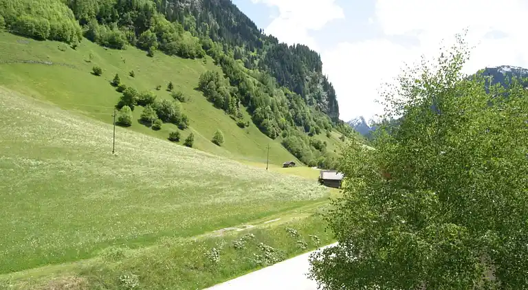 Apartment in Neuhofen