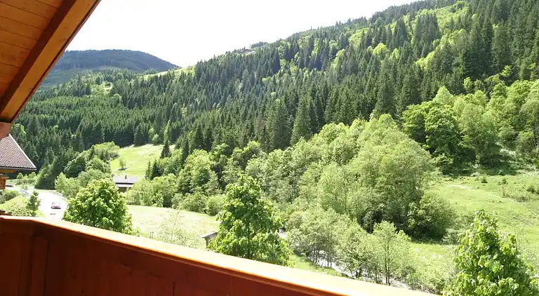 Apartment in Neuhofen