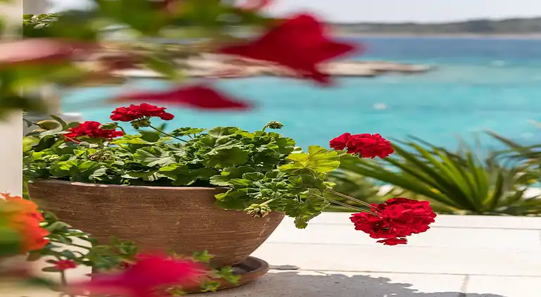 Sommerhus i Rogoznica