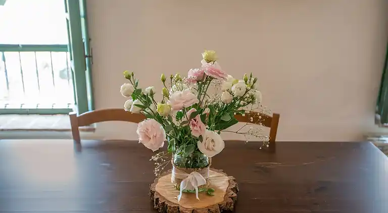 Farm house in Collesalvetti