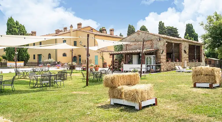 Farm house in Collesalvetti