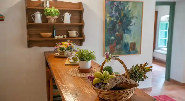 Farm house in Collesalvetti