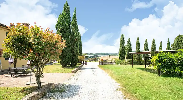 Farm house in Collesalvetti