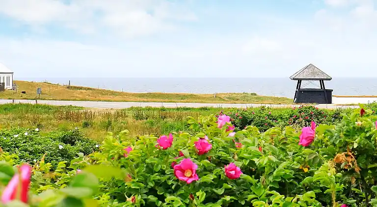 Sommerhus ved Nr Lyngby Strand