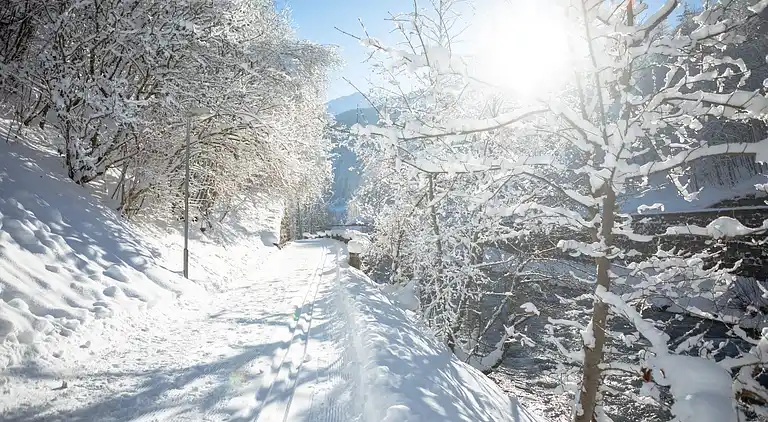 Apartment in Schruns